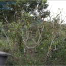 연지보건진료소 이미지