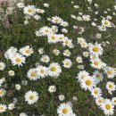 서울숲5 이미지