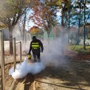 수미초교병설 이미지