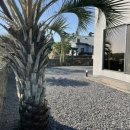 제주제이스타 이미지