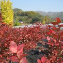 회원농장 이미지