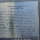 소사 복숭아테마거리 이미지