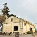 하소로 | 제주 서쪽 로스터리 카페/ 도민들이 숨겨둔 아지트 [하소로커피]