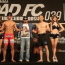 대전로드fc 대전mma