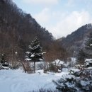 을수골 하얀집 네이버블로그