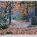 유마사 보안교 이미지