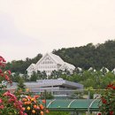 오월의여왕 이미지