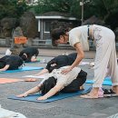 명상 이미지