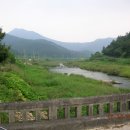 수룡교 Daum카페