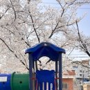 전주조촌초등학교 이미지