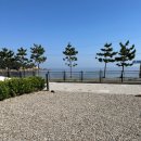 [캠핑기록] 22.05.03~22.05.05:: 삼척 장호비치캠핑장 C16 후기