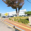 영덕군청청사 네이버블로그