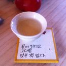 설아다원 이미지