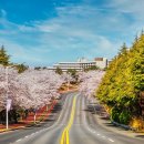 이랜드파크 켄싱턴 호텔 평창 이미지