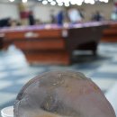 클리어당구장 이미지