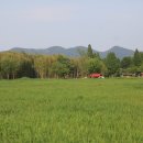 와룡지구 이미지