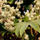 하영올레 1코스 이미지