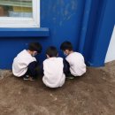 구엄초등학교 병설유치원 이미지