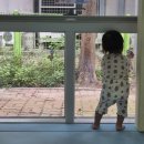 주차16 | 서울형키즈카페 창3동점 후기(+주차) 16개월 아기랑