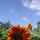 미란농장 이미지