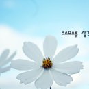 남하심소정 이미지