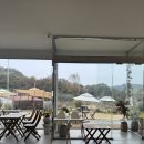 현덕로 | 평택 카페 시숲 아기랑 방문 후기