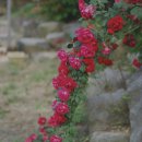 석수가든 이미지