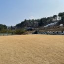 세이지힐 패밀리 캠핑장 이미지