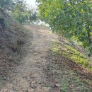 진 농장 이미지