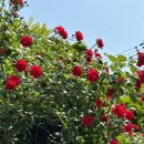 세븐일레븐 성수역점 | 230511 🥕 봄밤에 만나🌤️💛