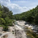 힐링산책코스 | 강원도 고성 가볼만한 곳｜도원리휴양지 숲산책 힐링코스 후기