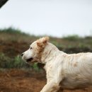 매니아클럽 이미지