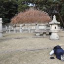 태조로39