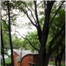 은판나비화장실 이미지