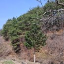 김용환행정사사무소 이미지