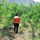 석화동굴 농장 이미지