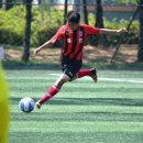 고위드짐 이미지