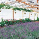 상점농장 이미지