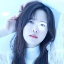한국반려묘협회