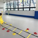 신세계태권도장 이미지