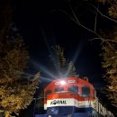 지도공원(관리사 옆) | 꽃테마공원마사지[가평 중국정통테라피]