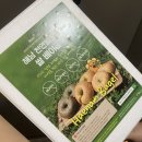 천연발효쌀빵과 쌀디저트 | 천연발효 쌀빵 쌀 베이글 먹어보기