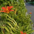 명륜동-6 이미지