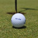 BEST 스크린골프 이미지