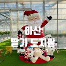 아산농장 | 아산딸기도치팜 딸기농장 체험 후기｜아이랑 가기 좋은 딸기체험