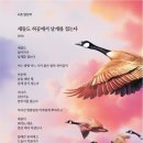 김미경 선생님(25기) [동아일보 신춘문예 2023/시조 당선]을 축하드립니다. 이미지