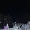 대윤메디칼 | 12월 올영세일 올리브영 신길점 방문 후기