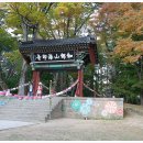 (재)대장경세계문화축전 이미지