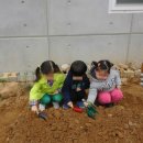 복댕이 유치원 이미지