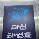 다윈태권도 이미지